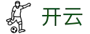 开云(kaiyun)中国官方网站
